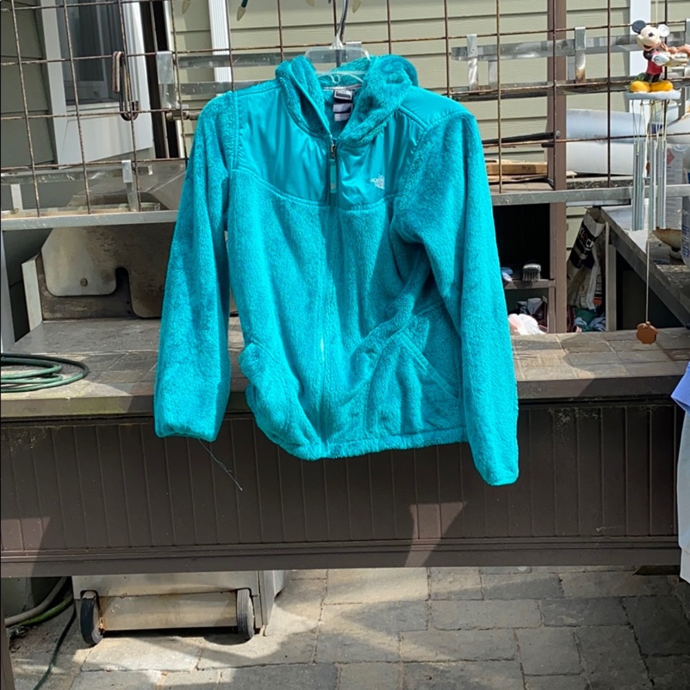 Blue north face